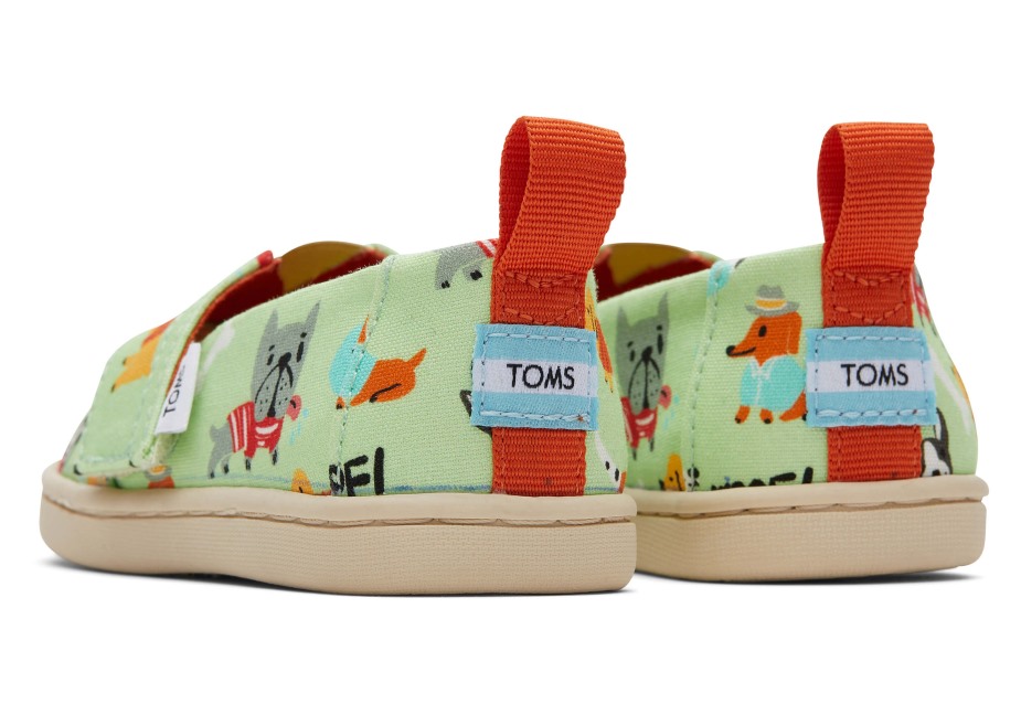 Toms Köpekleri Alpargata Yeşili