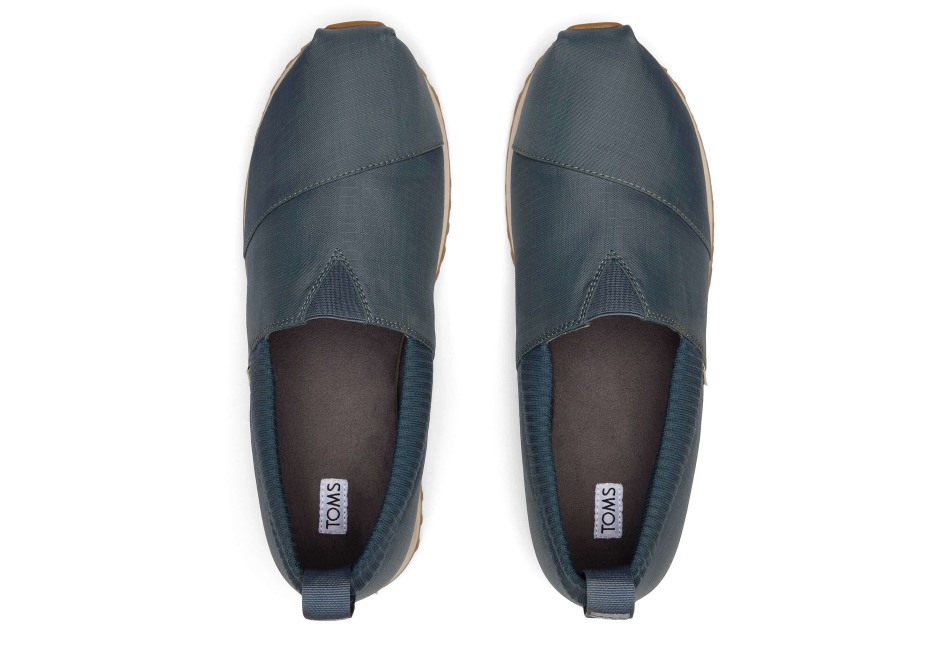 Toms Sakini Alpargata Karanlık Kayrak