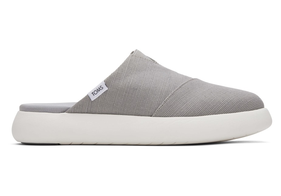 Toms Ebegümeci Katırı çiseleyen Gri