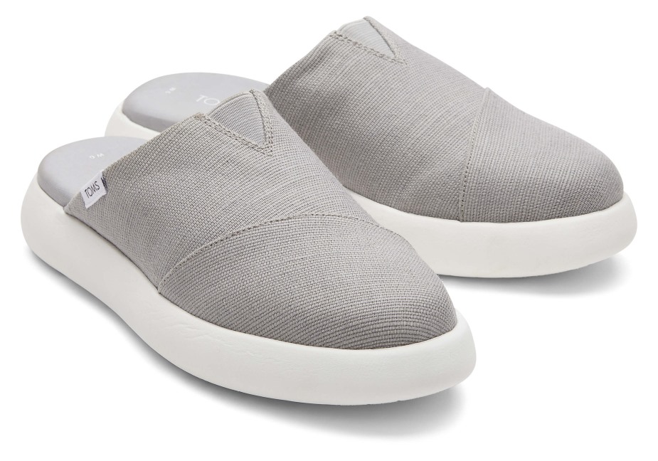 Toms Ebegümeci Katırı çiseleyen Gri