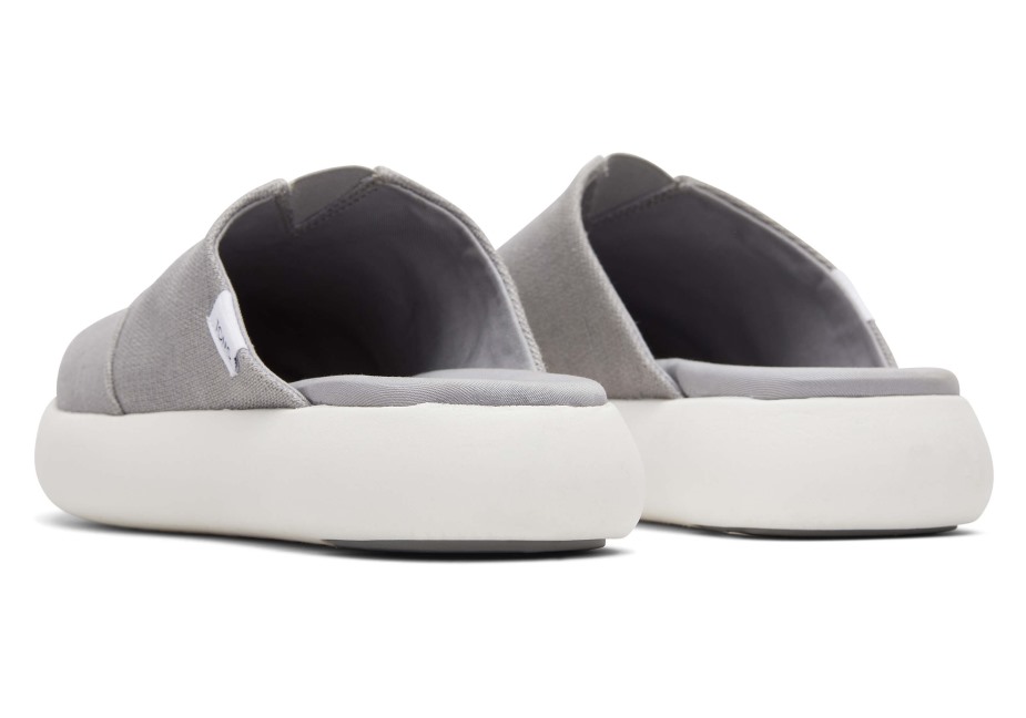 Toms Ebegümeci Katırı çiseleyen Gri