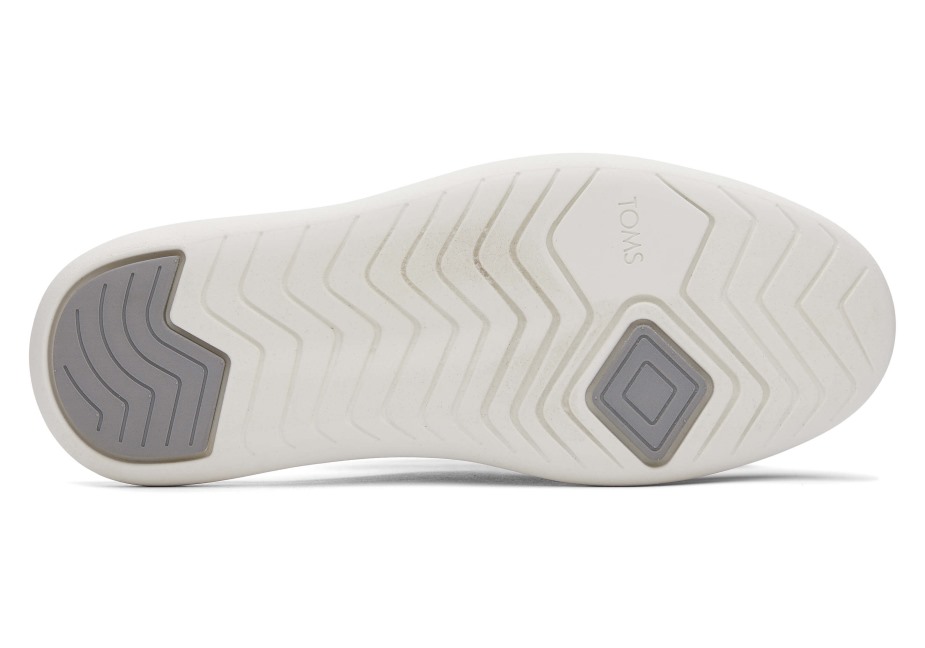 Toms Ebegümeci Katırı çiseleyen Gri