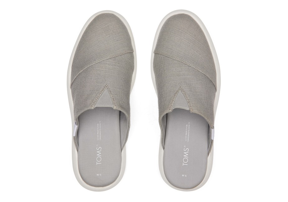 Toms Ebegümeci Katırı çiseleyen Gri