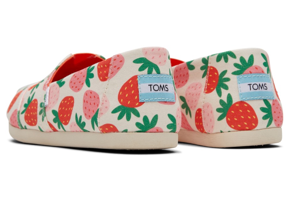 Toms Alpargata çilek Huş çilek