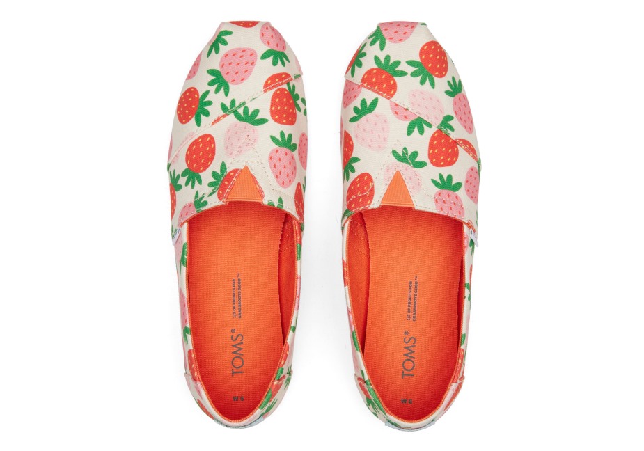 Toms Alpargata çilek Huş çilek