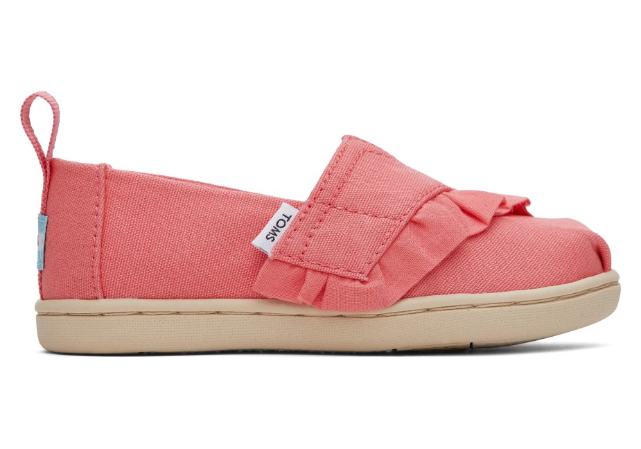 Toms Gül Alpargata Gülü