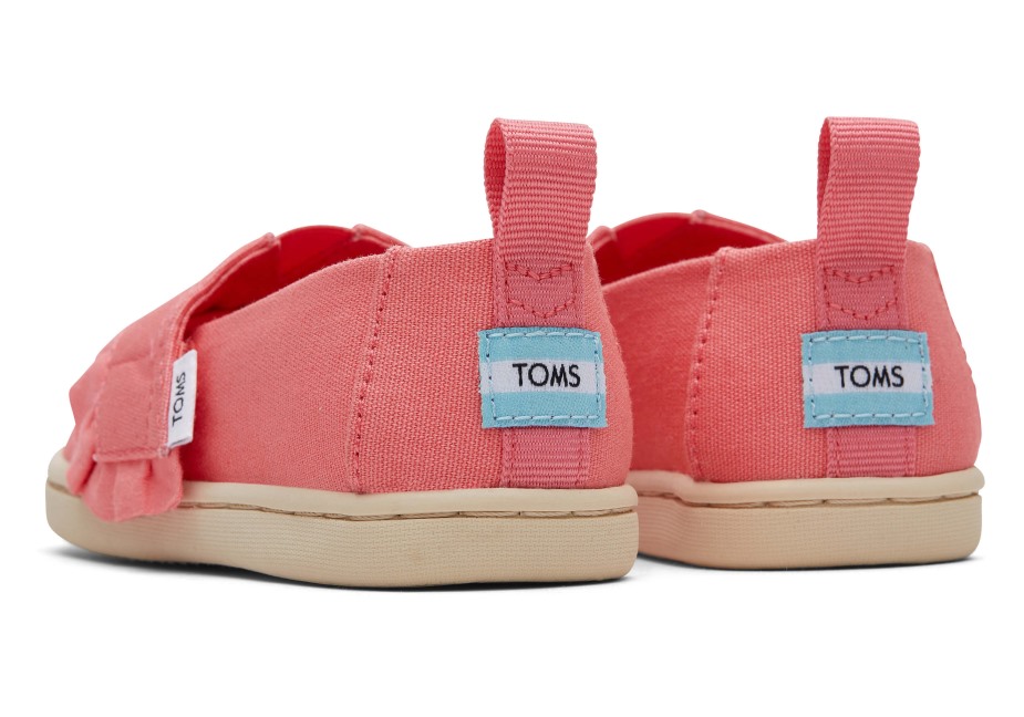 Toms Gül Alpargata Gülü