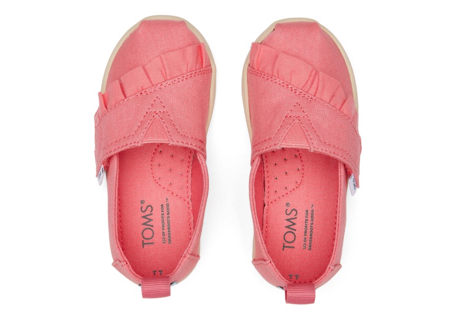 Toms Gül Alpargata Gülü