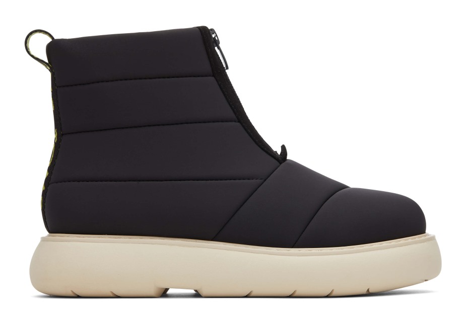 Toms Ebegümeci Kirpi Kirpi Siyah