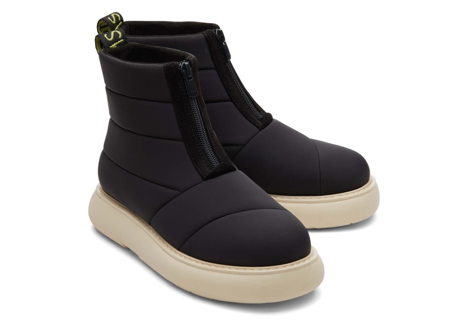 Toms Ebegümeci Kirpi Kirpi Siyah