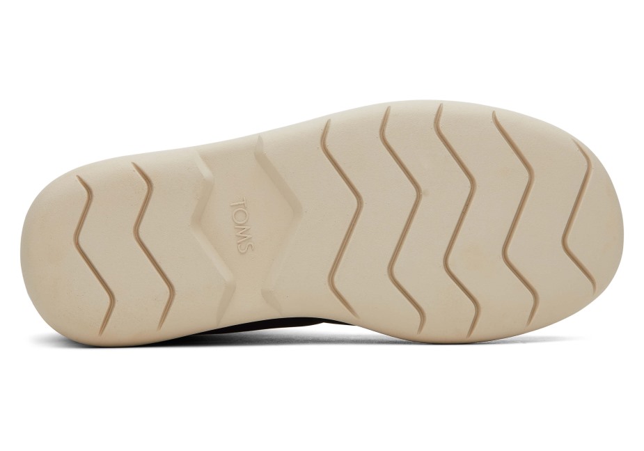 Toms Ebegümeci Kirpi Kirpi Siyah