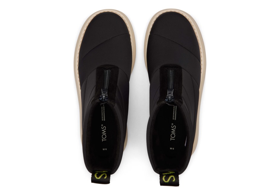 Toms Ebegümeci Kirpi Kirpi Siyah