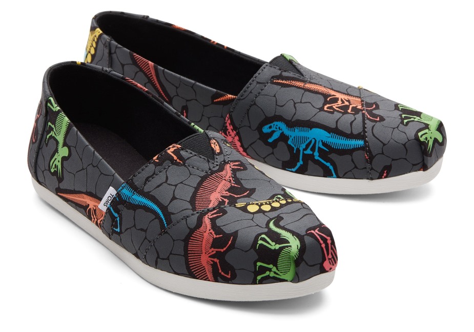 Toms Alpargata Dino Neon çoklu Dino