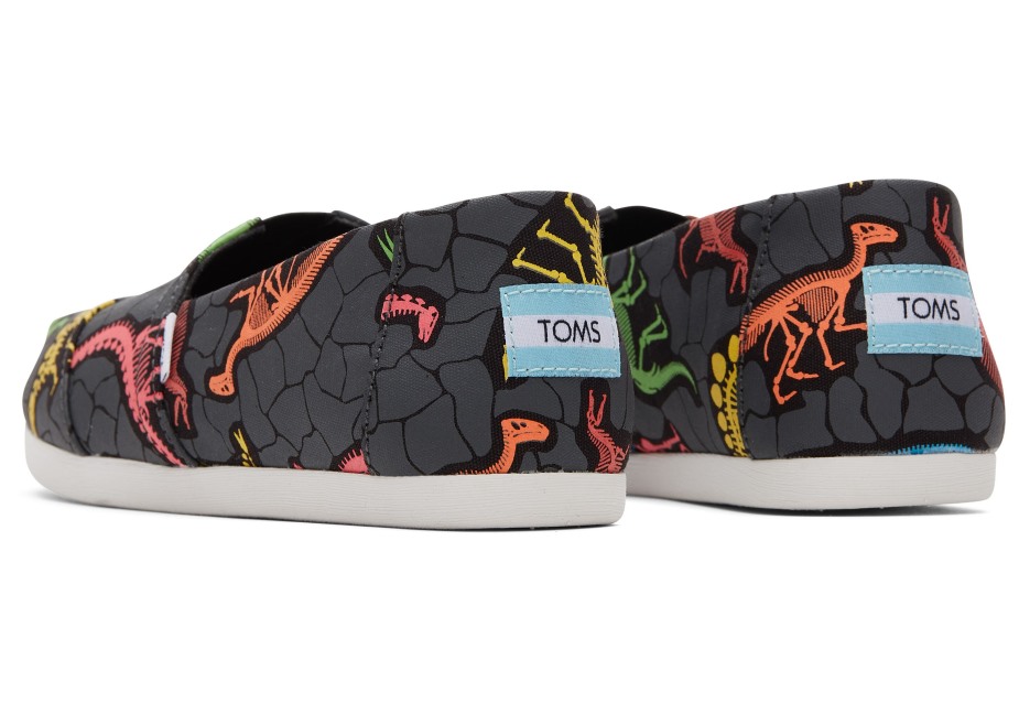 Toms Alpargata Dino Neon çoklu Dino
