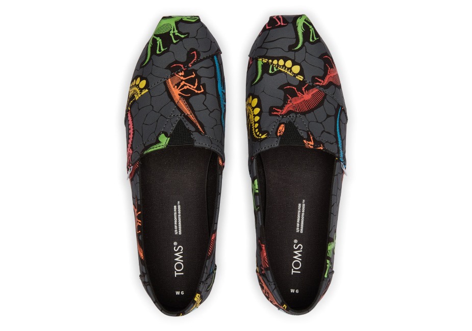 Toms Alpargata Dino Neon çoklu Dino