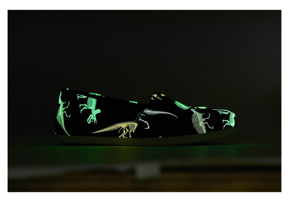 Toms Alpargata Dino Neon çoklu Dino