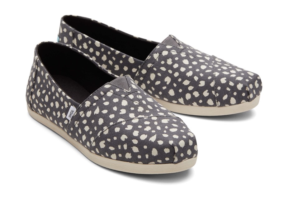 Toms Alpargata çita Gri çita