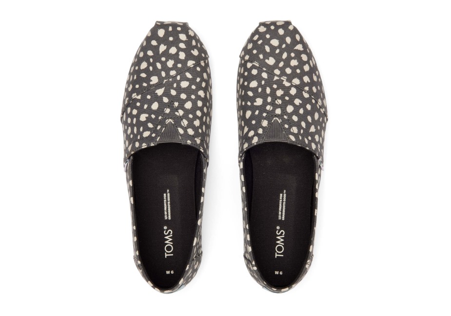 Toms Alpargata çita Gri çita