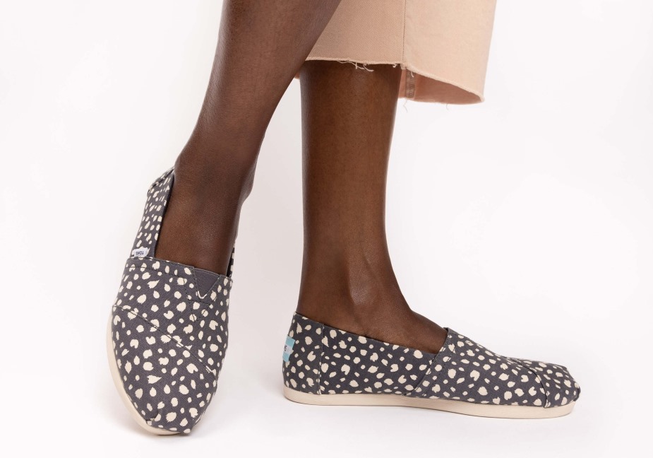 Toms Alpargata çita Gri çita