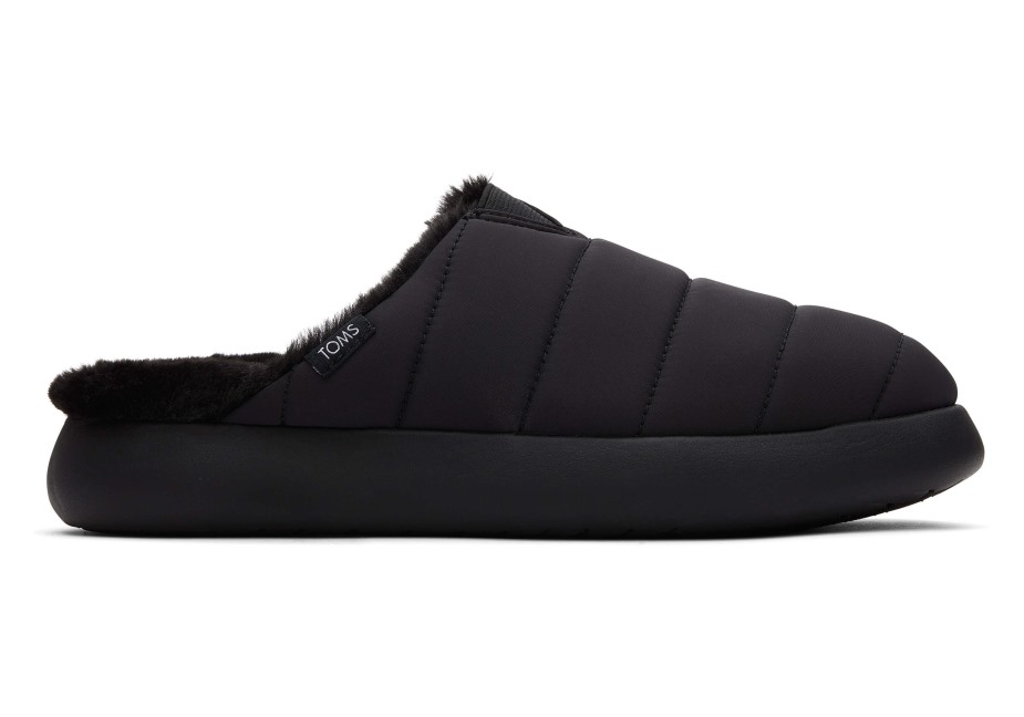 Toms Ebegümeci Katırı Siyah-siyah