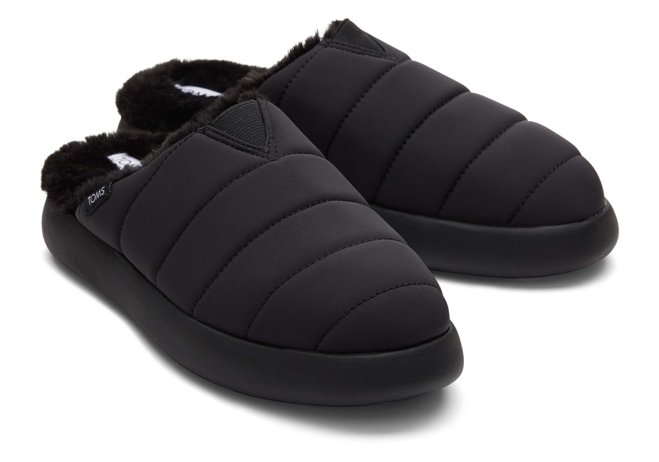 Toms Ebegümeci Katırı Siyah-siyah