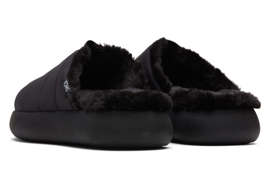 Toms Ebegümeci Katırı Siyah-siyah