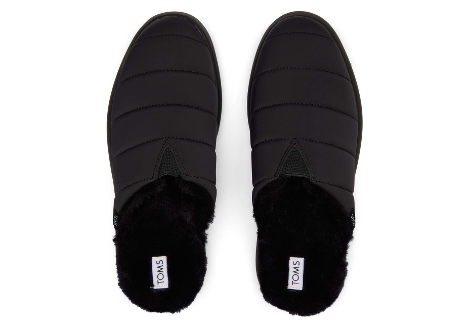 Toms Ebegümeci Katırı Siyah-siyah