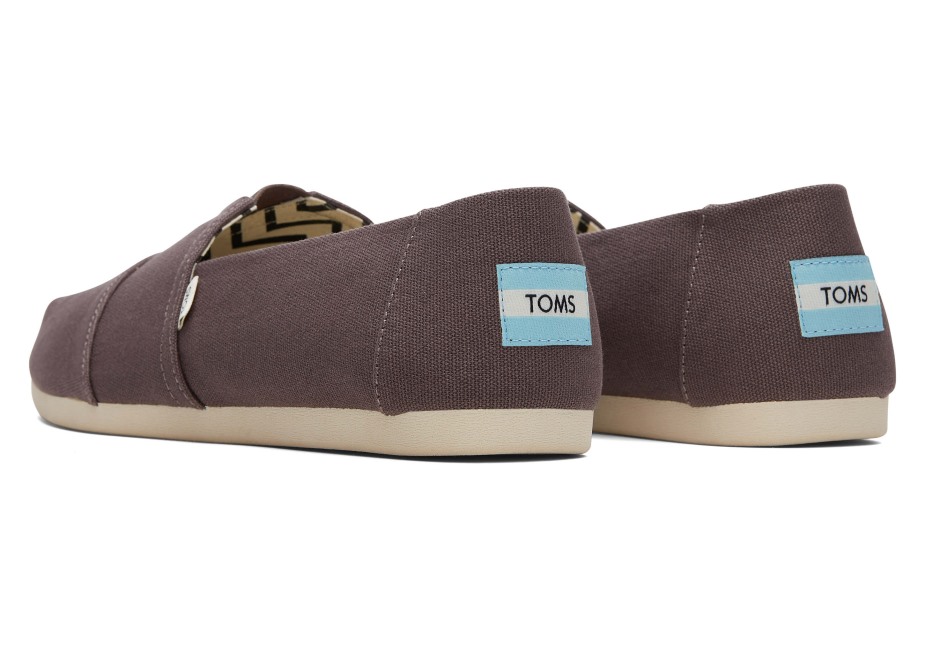 Alpargata Geri Dönüştürülmüş Pamuk Kanvas Toms Kül