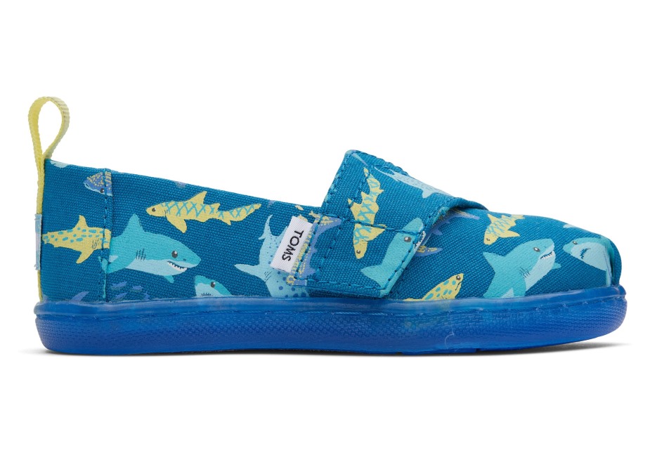 Toms Minik Alpargata Köpekbalıkları Derin Mavi