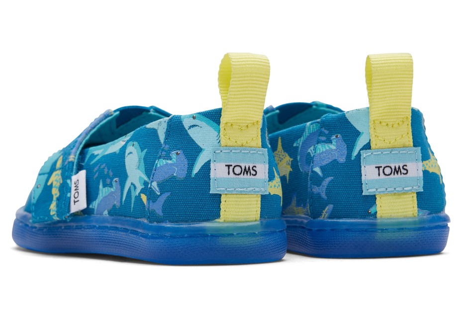 Toms Minik Alpargata Köpekbalıkları Derin Mavi