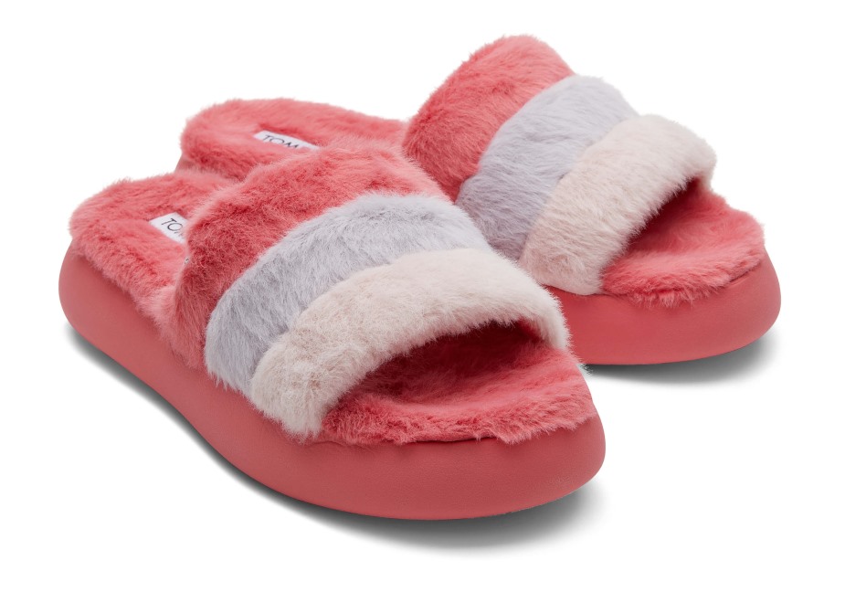 Toms Ebegümeci Slayt Gül Renk Bloğu