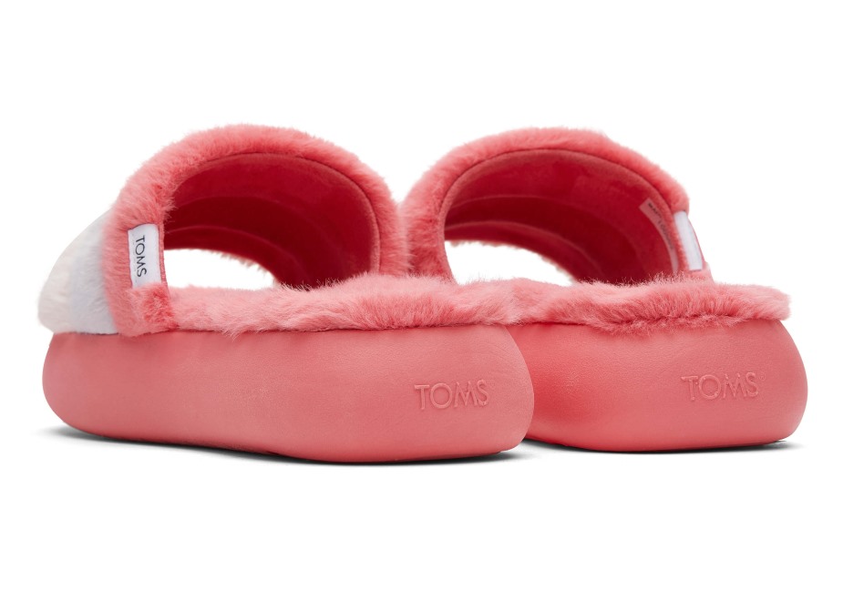 Toms Ebegümeci Slayt Gül Renk Bloğu