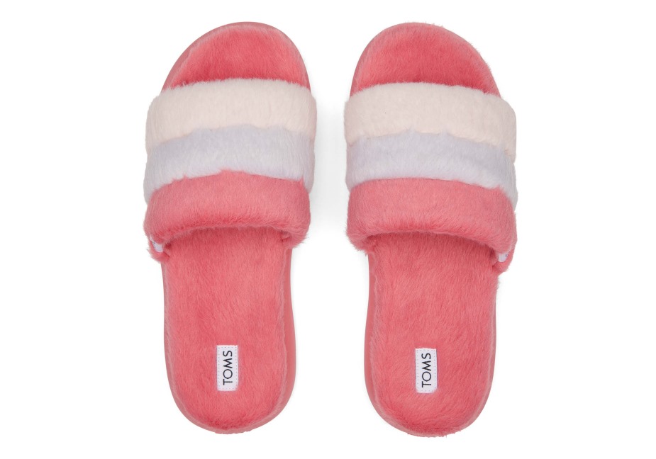 Toms Ebegümeci Slayt Gül Renk Bloğu