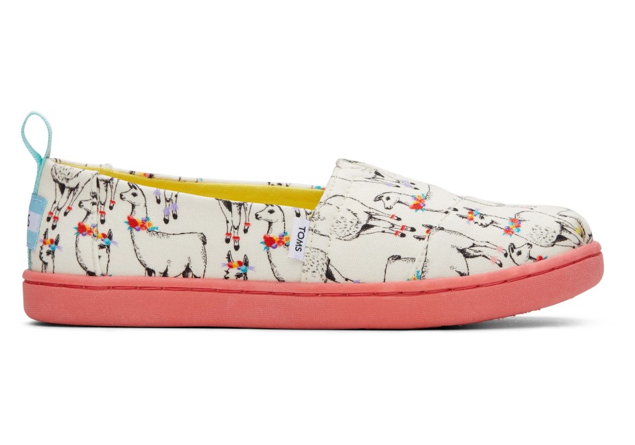 Toms Gençlik Alpargata Kağıt Kaynağı Fildişi
