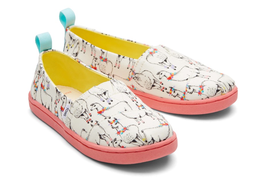 Toms Gençlik Alpargata Kağıt Kaynağı Fildişi