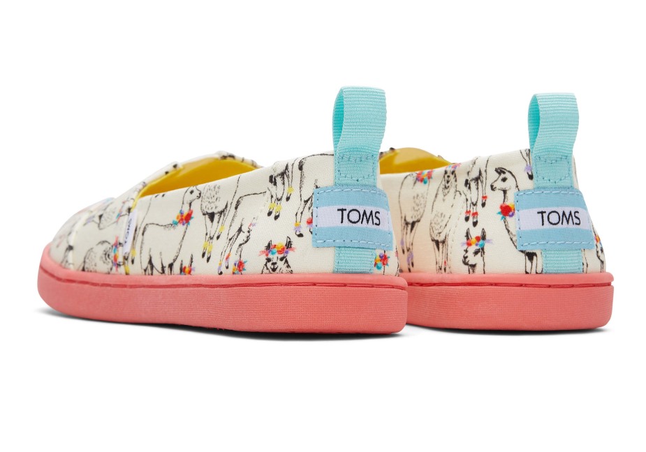 Toms Gençlik Alpargata Kağıt Kaynağı Fildişi