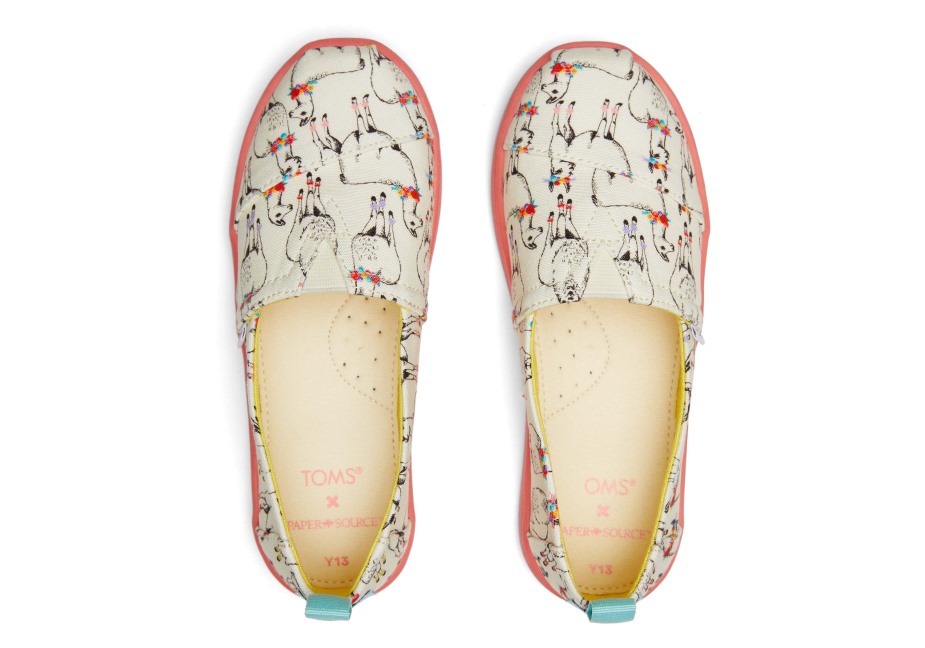 Toms Gençlik Alpargata Kağıt Kaynağı Fildişi
