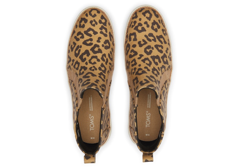 Toms Bryce Leopar üzerinde Kayma