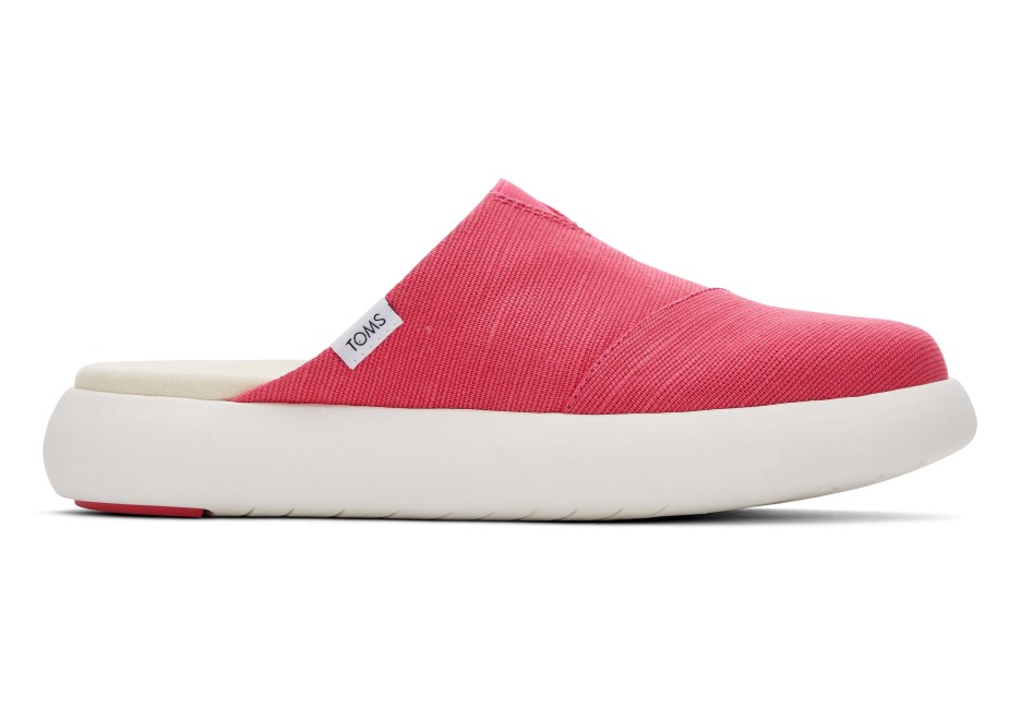 Toms Ebegümeci Katır Ahududu
