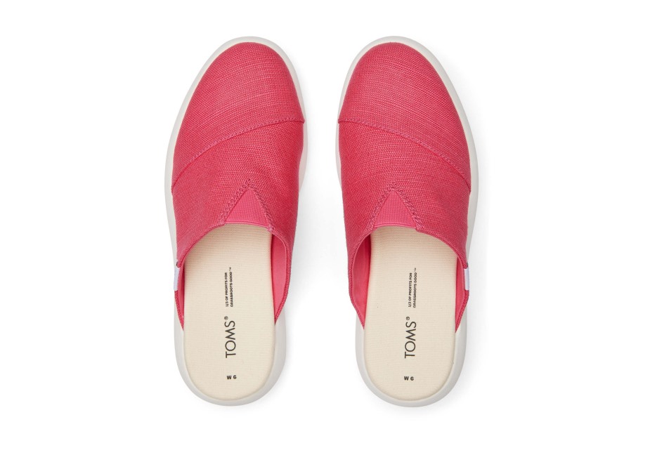 Toms Ebegümeci Katır Ahududu