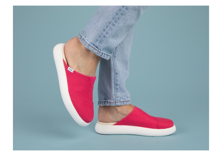 Toms Ebegümeci Katır Ahududu