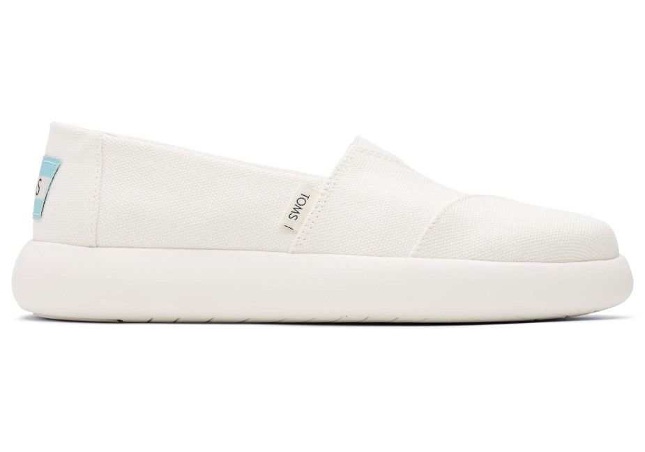 Toms Ebegümeci Beyaz