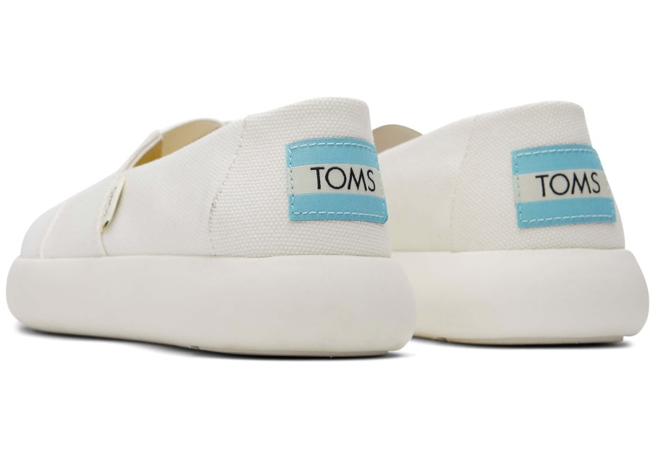 Toms Ebegümeci Beyaz