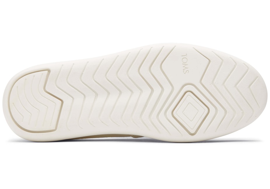 Toms Ebegümeci Beyaz