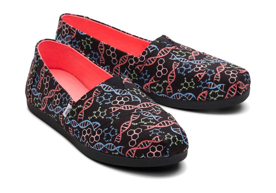Toms Alpargata Dna Siyah