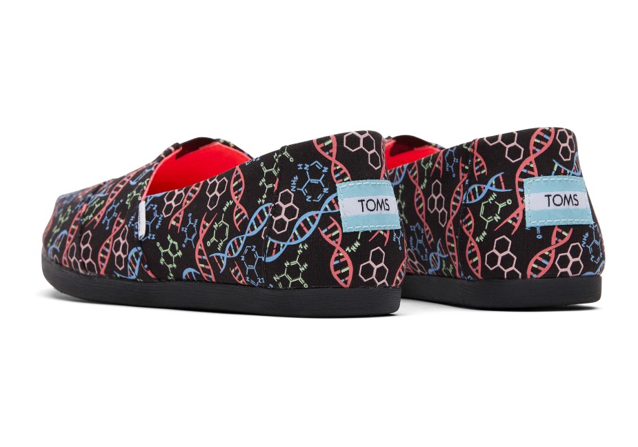 Toms Alpargata Dna Siyah