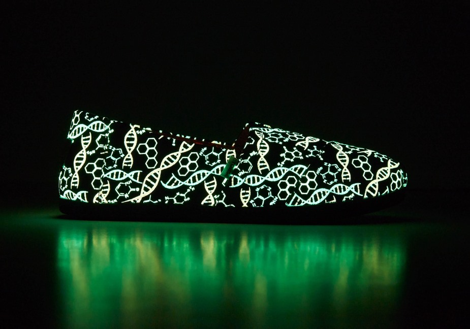 Toms Alpargata Dna Siyah