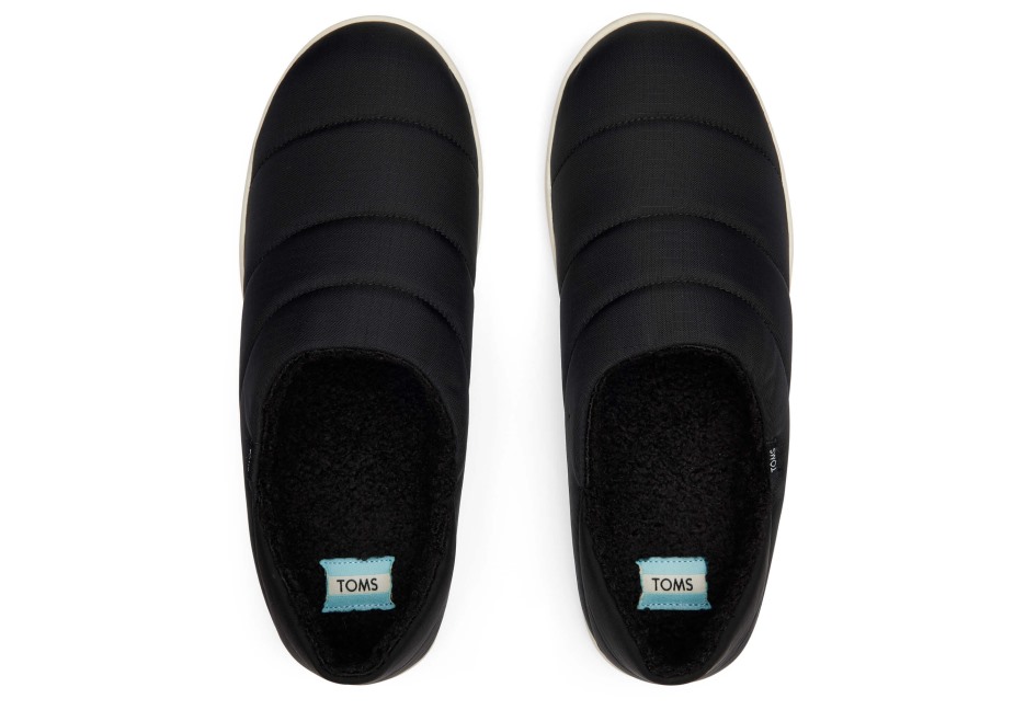 Ezra Terlik Toms Siyah