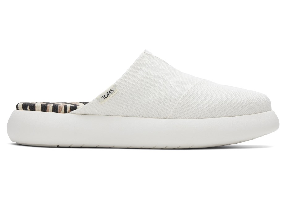 Toms Ebegümeci Katır Beyaz