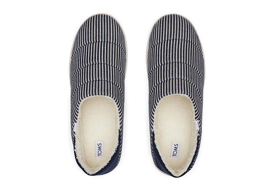 Toms Ezra Terlik Donanması